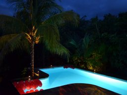 Noël à la Réunion